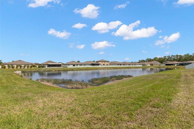 11904 FIELD THISTLE COURT, Riverview, FL 33579