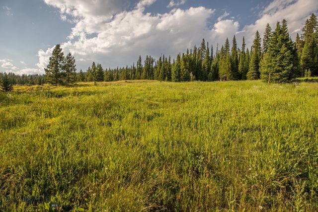 TBD Washaki Lot 23 Road, Big Sky, MT 59716