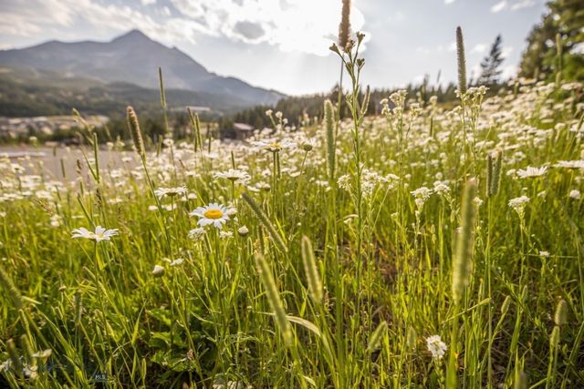 TBD Washaki Lot 23 Road, Big Sky, MT 59716