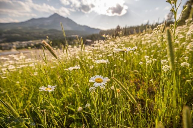 TBD Washaki Lot 23 Road, Big Sky, MT 59716