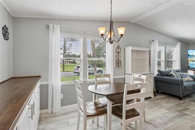 1001 MATTHEW AVENUE, The Villages, FL 32159