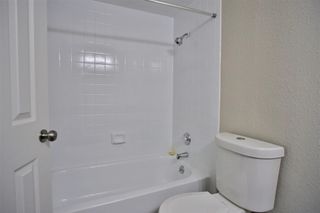 2700 S Dairy Ashford Road 519D, Houston, TX 77082