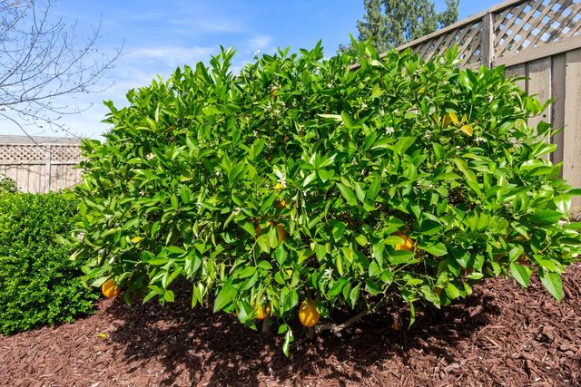 1780 Mary Rose Ln, Lincoln, CA 95648