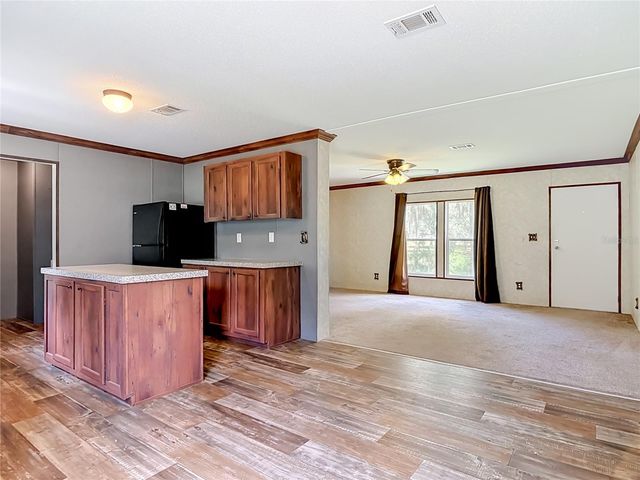 40628 PALM DRIVE, Eustis, FL 32736
