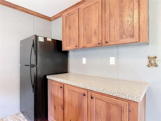40628 PALM DRIVE, Eustis, FL 32736