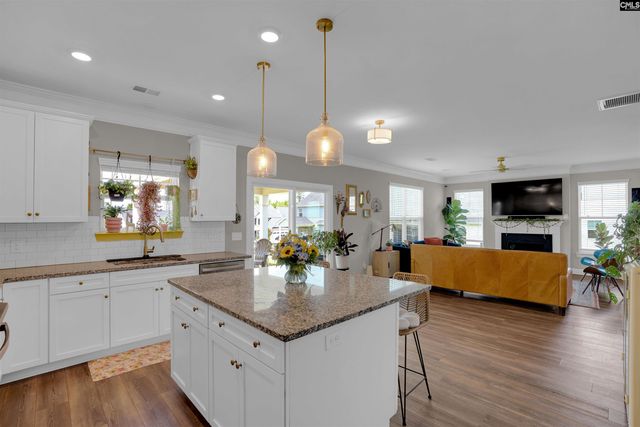 510 Palmerston Way, Chapin, SC 29036