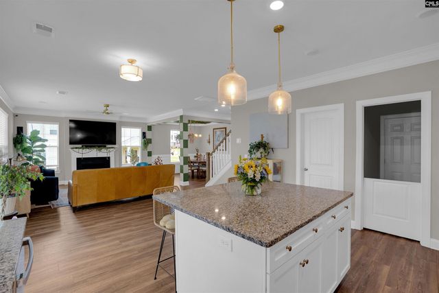 510 Palmerston Way, Chapin, SC 29036