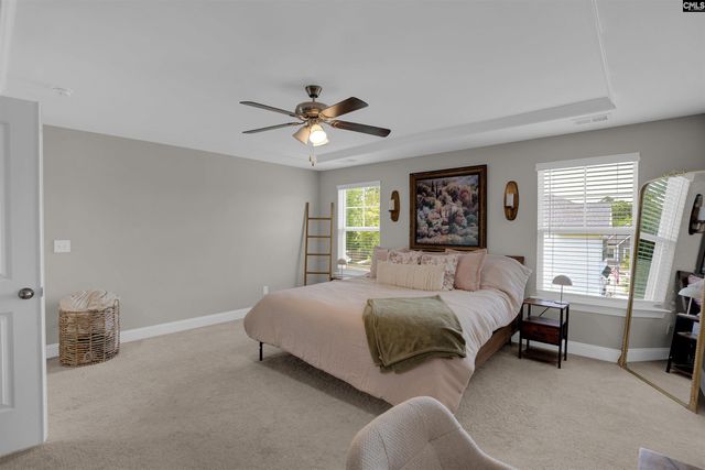 510 Palmerston Way, Chapin, SC 29036