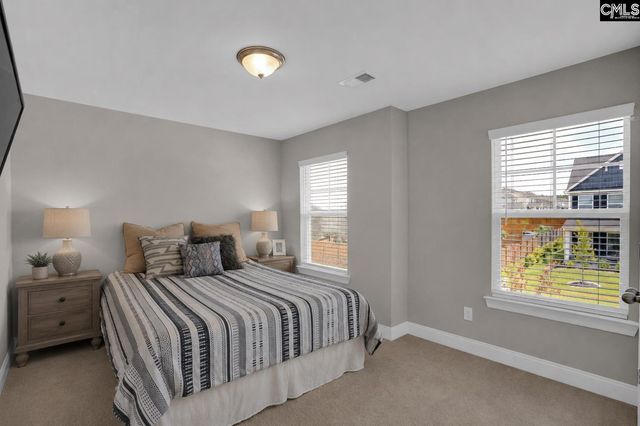 510 Palmerston Way, Chapin, SC 29036