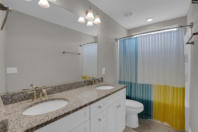 510 Palmerston Way, Chapin, SC 29036