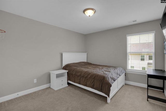 510 Palmerston Way, Chapin, SC 29036