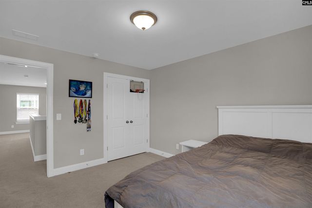 510 Palmerston Way, Chapin, SC 29036