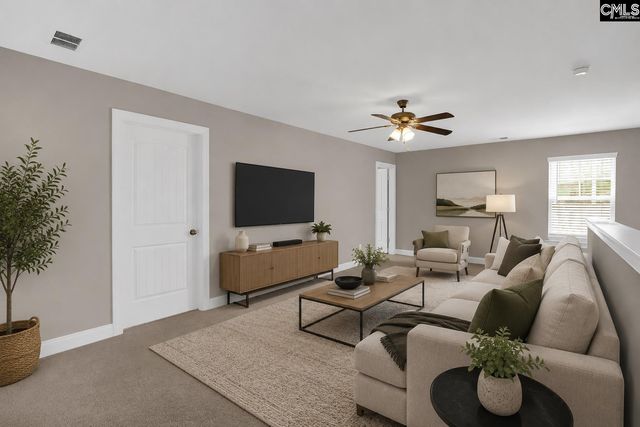 510 Palmerston Way, Chapin, SC 29036