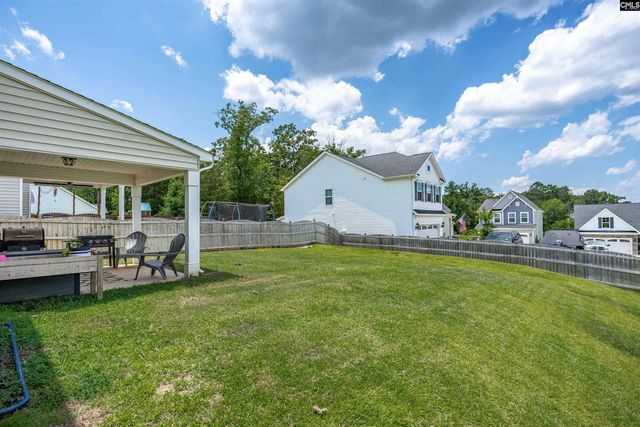 510 Palmerston Way, Chapin, SC 29036