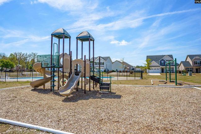 510 Palmerston Way, Chapin, SC 29036