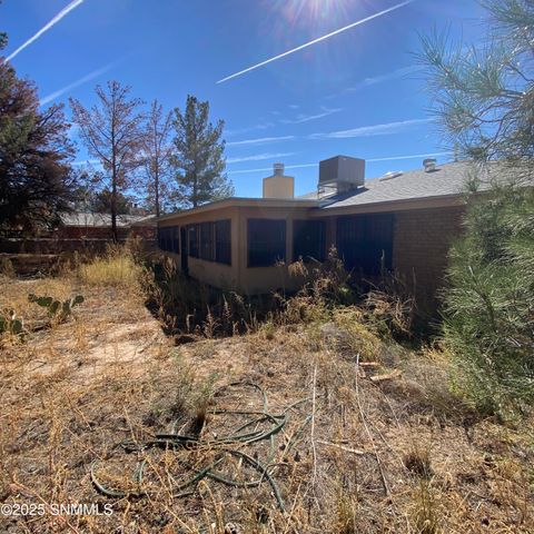 4117 Oleta Drive, Las Cruces, NM 88001