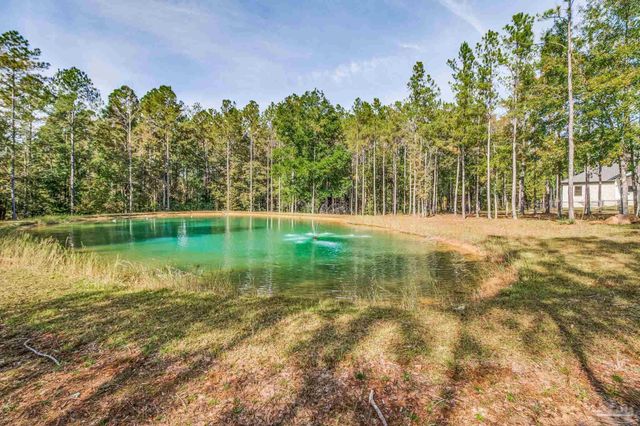 2329 Molino Bridge Rd, Pace, FL 32571