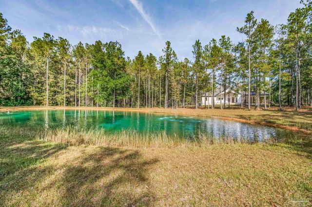 2329 Molino Bridge Rd, Pace, FL 32571