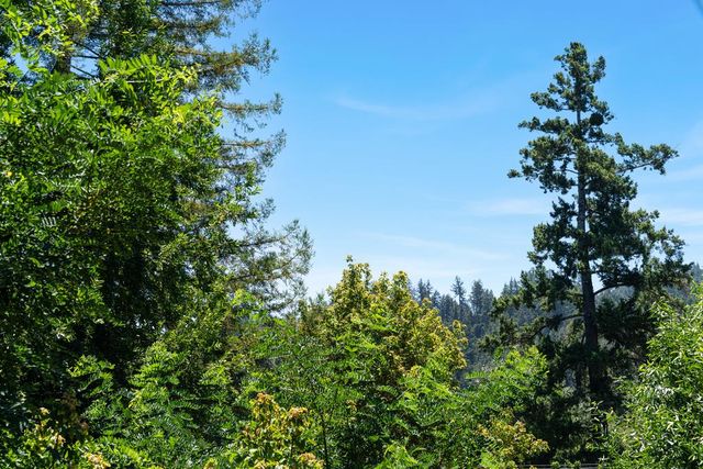 9655 Glen Arbor Road, Ben Lomond, CA 95005