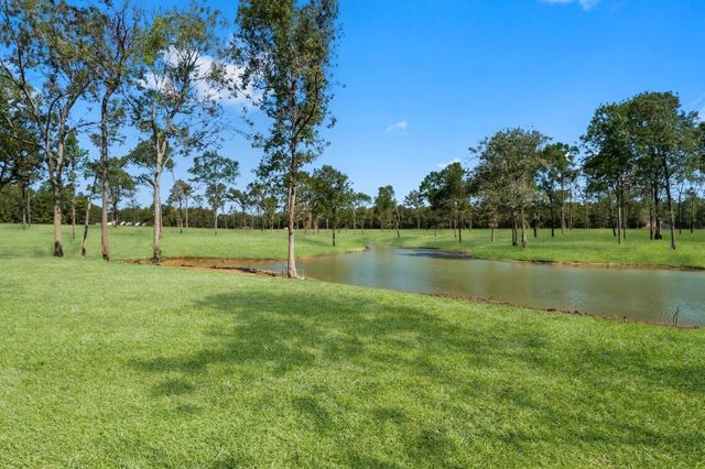 Lot 15 Shores Court, Livingston, TX 77351