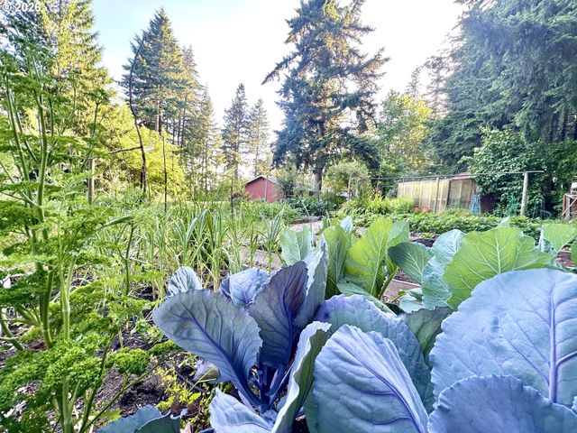 16691 S HOLCOMB Blvd, Oregon City, OR 97045