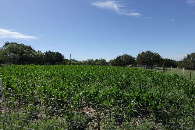 30495 State Highway 6, Hico, TX 76457