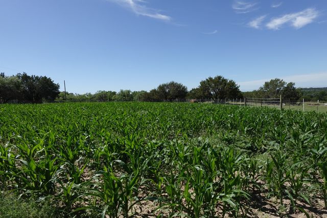 30495 State Highway 6, Hico, TX 76457