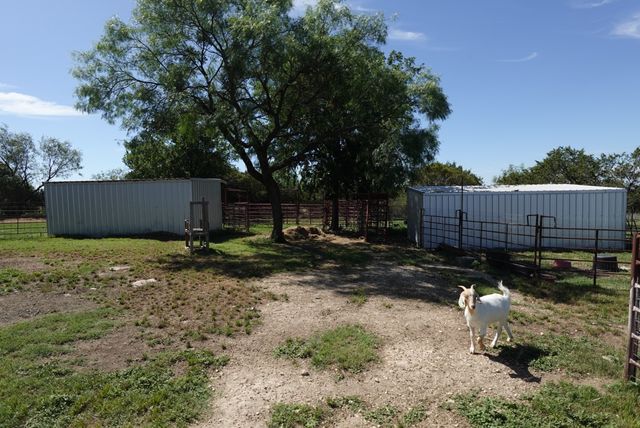 30495 State Highway 6, Hico, TX 76457