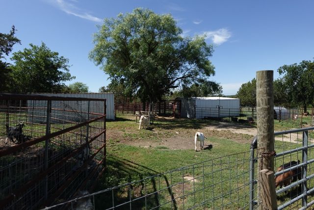 30495 State Highway 6, Hico, TX 76457