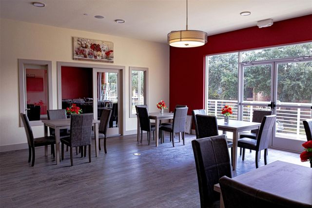 6955 Turtlewood Dr Drive 501, Houston, TX 77072