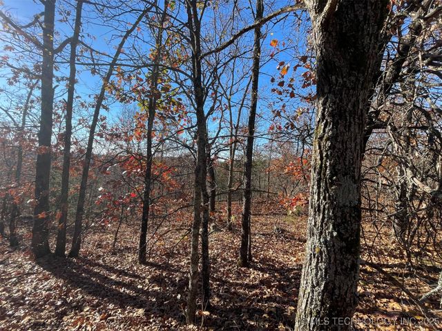 S 4507 Road, Vian, OK 74962