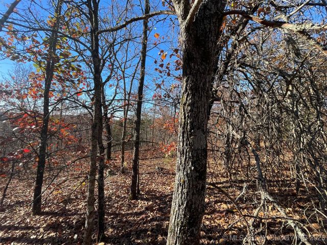 S 4507 Road, Vian, OK 74962