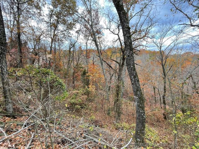 S 4507 Road, Vian, OK 74962