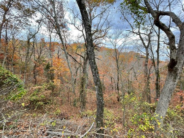 S 4507 Road, Vian, OK 74962