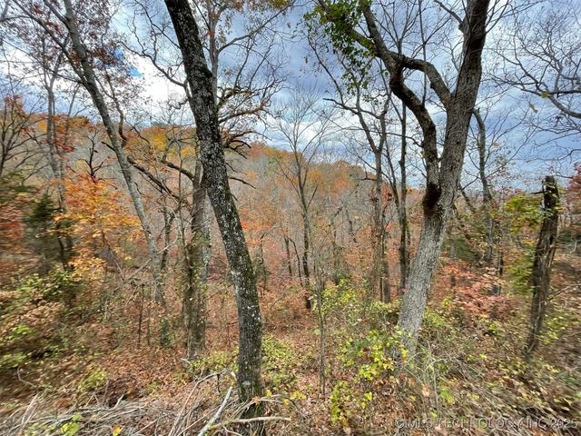 S 4507 Road, Vian, OK 74962