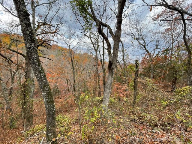 S 4507 Road, Vian, OK 74962