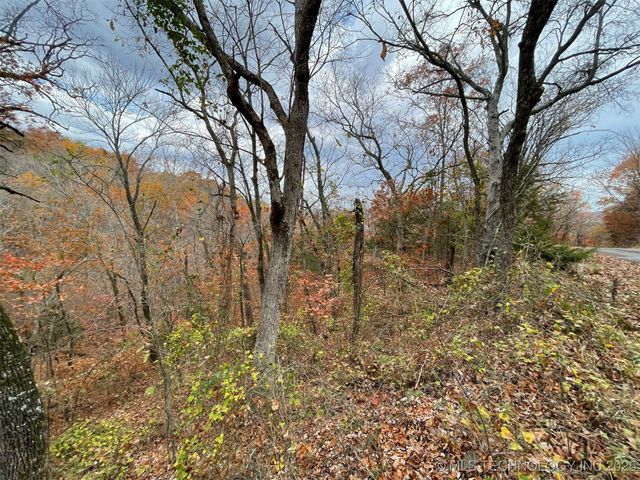 S 4507 Road, Vian, OK 74962