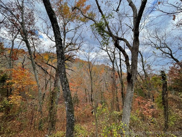 S 4507 Road, Vian, OK 74962