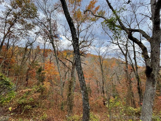 S 4507 Road, Vian, OK 74962