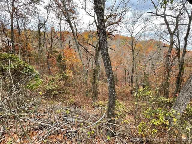 S 4507 Road, Vian, OK 74962