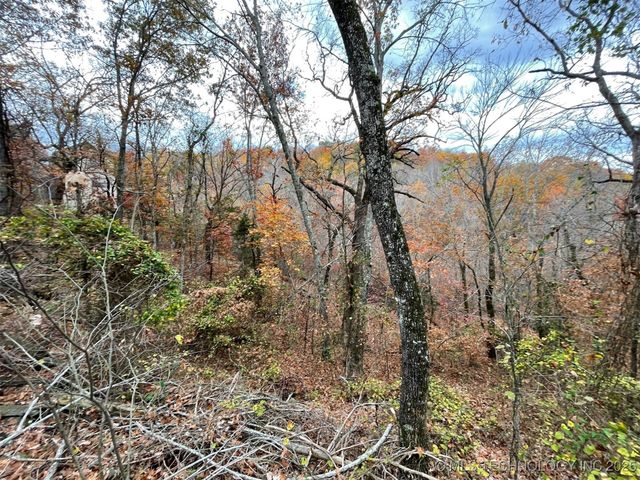 S 4507 Road, Vian, OK 74962