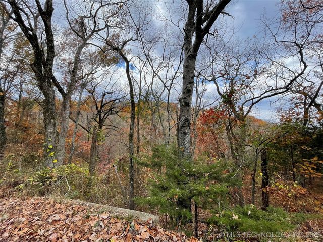 S 4507 Road, Vian, OK 74962