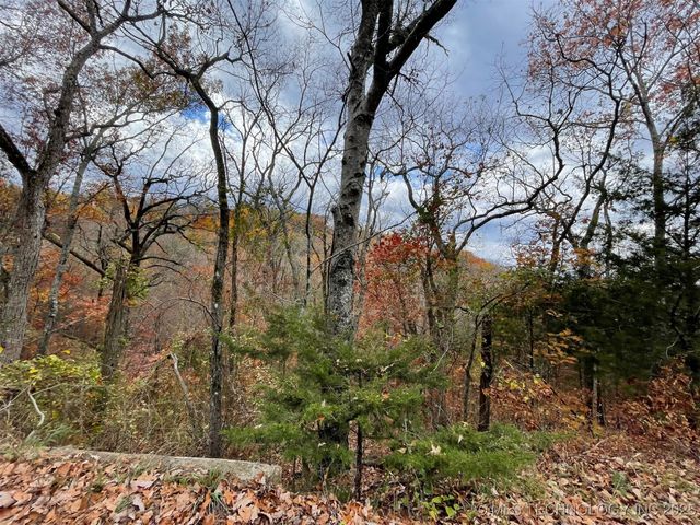 S 4507 Road, Vian, OK 74962