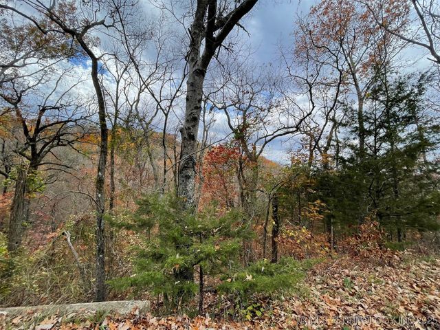 S 4507 Road, Vian, OK 74962