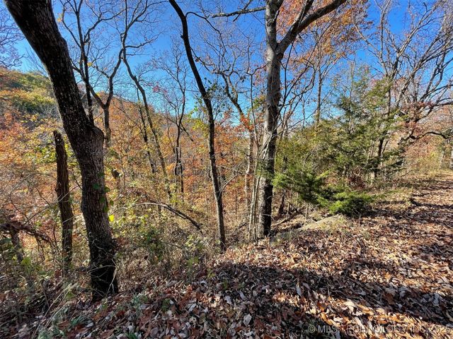 S 4507 Road, Vian, OK 74962