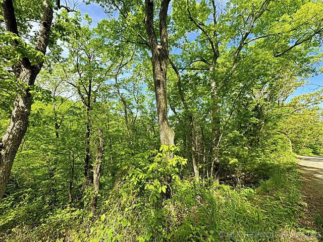 S 4507 Road, Vian, OK 74962