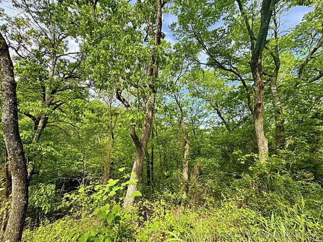 S 4507 Road, Vian, OK 74962