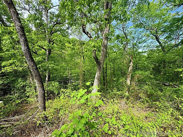 S 4507 Road, Vian, OK 74962