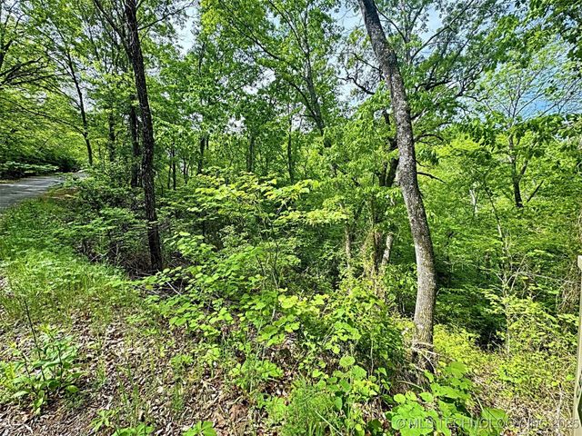 S 4507 Road, Vian, OK 74962