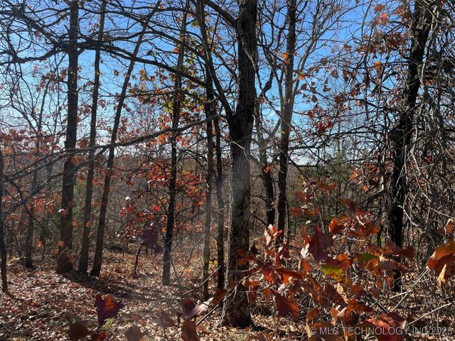 S 4507 Road, Vian, OK 74962